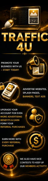 Traffic 4U Online